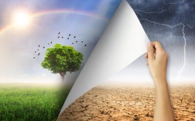 Why our Mindset Influences our Experience of Change and What to Do About It