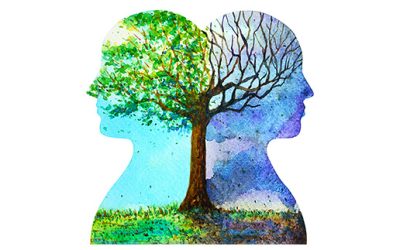 The Power of a Growth Mindset: 3 Tips to Develop Your Strengths 