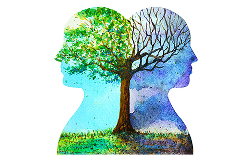 The Power of a Growth Mindset: 3 Tips to Develop Your Strengths 