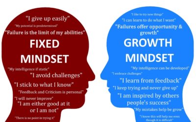 Co-Creation Blog : The Mindset Paradox