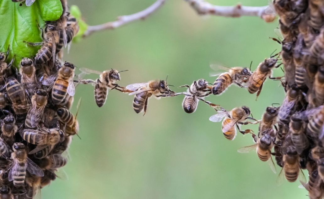Prioritising Workplace Wellbeing: The Transformative Impact of Psychological Safety