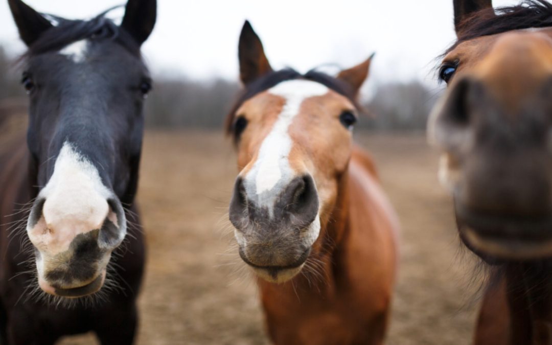 Team Success Simplified: The Old, the New, and the 3 Essential Factors You Need to Know