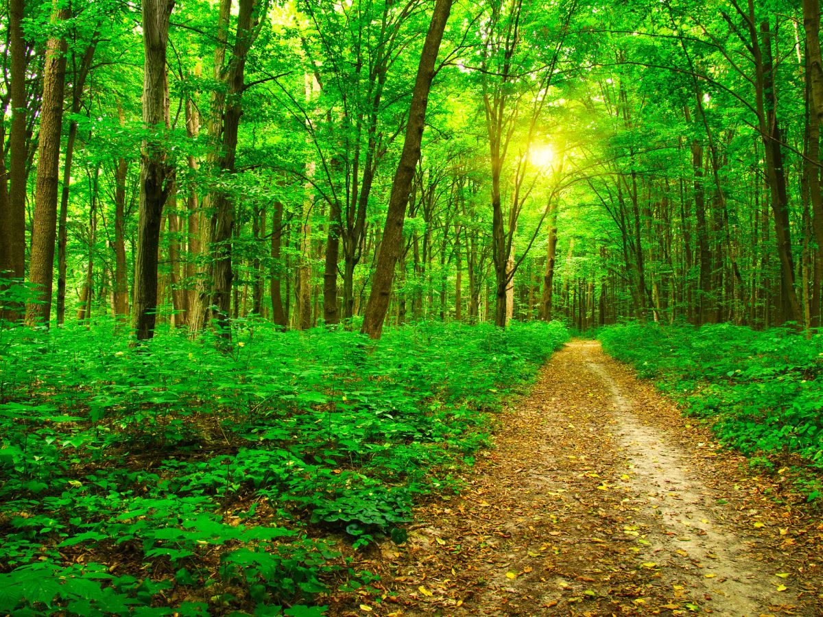 Co-Creation - What Builds a Wellbeing Culture – and What Gets in the Way