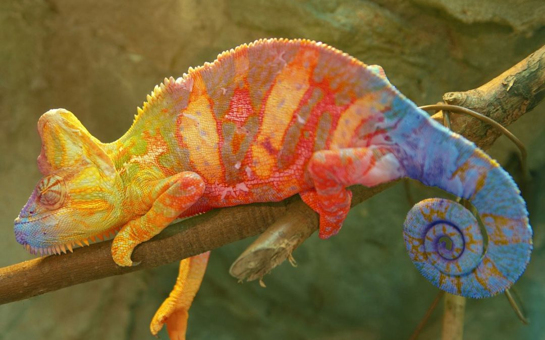 FROM FEAR TO FOCUS BUILDING CHANGE RESILIENCE AT WORK