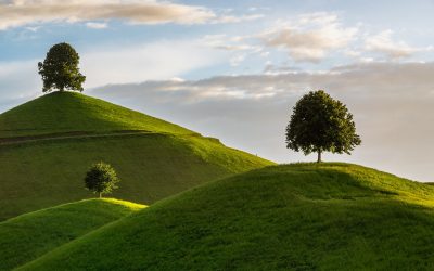 Leading Across Generations: 3 Practical Strategies to Build Bridges