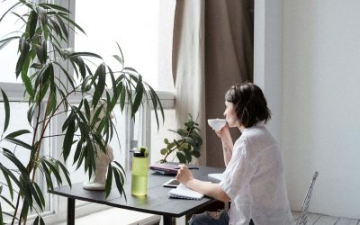 Beyond the Ladder: How Career Conversations Boost Wellbeing AND Performance