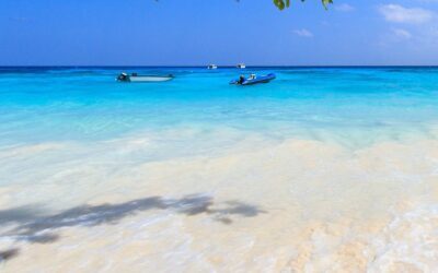 Co-Creation Blog : Boosting your Mental Health and Wellbeing