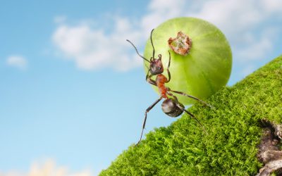 How do you find life meaning and purpose?