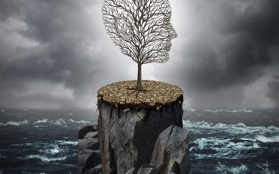 Leaders, what worked before does not work now: A retrospective analysis of leadership development during the pandemic using FHOCAL™