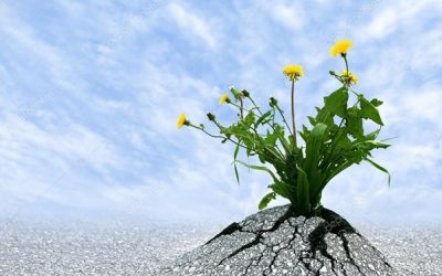 3 Powerful Ways to Build a Future-Ready Leadership Mindset