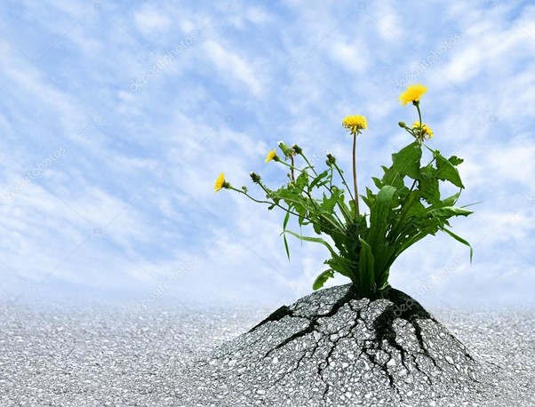 3 Powerful Ways to Build a Future-Ready Leadership Mindset